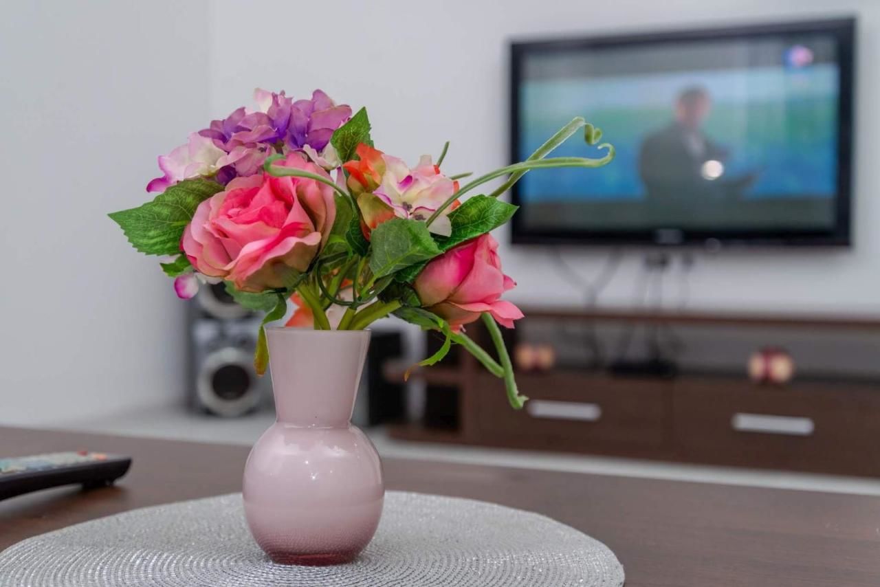 Апартаменты Apartman Mona Подгорица