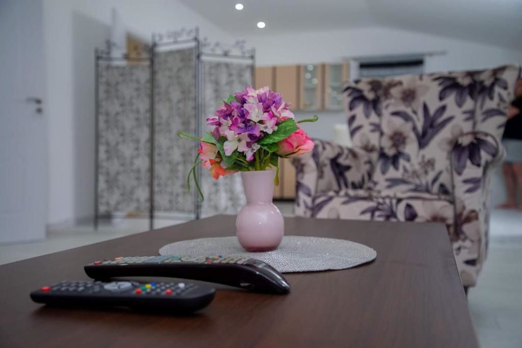 Апартаменты Apartman Mona Подгорица