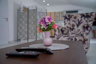 Апартаменты Apartman Mona Подгорица Апартаменты с 2 спальнями-25